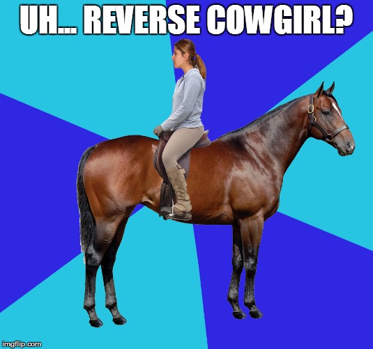 REVERSE COWGIRL? image tagged in memes,horse,rider made w/ Imgflip meme mak...