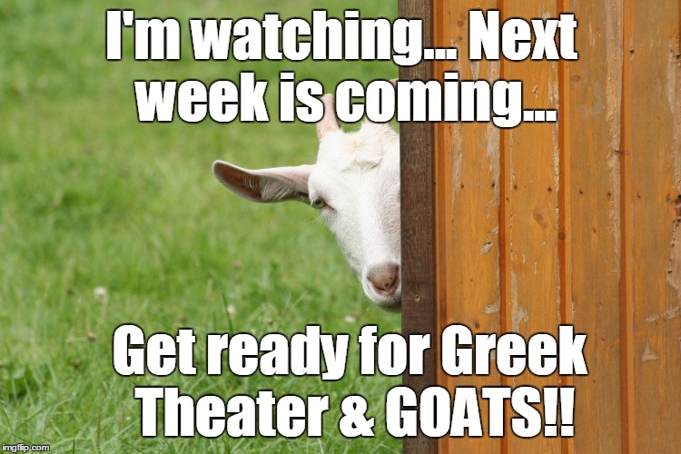 Goat | I'm watching... Next week is coming... Get ready for Greek Theater & GOATS!! | image tagged in goat | made w/ Imgflip meme maker