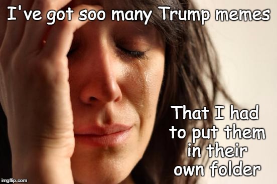 First World Problems | I've got soo many Trump memes; That I had to put them in their own folder | image tagged in memes,first world problems | made w/ Imgflip meme maker
