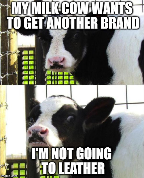 cows | MY MILK COW WANTS TO GET ANOTHER BRAND; I'M NOT GOING TO LEATHER | image tagged in cows | made w/ Imgflip meme maker