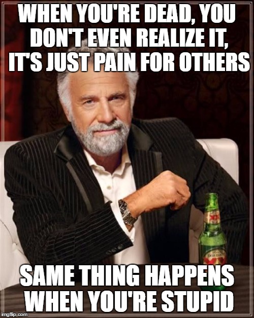 The Most Interesting Man In The World | WHEN YOU'RE DEAD, YOU DON'T EVEN REALIZE IT, IT'S JUST PAIN FOR OTHERS; SAME THING HAPPENS WHEN YOU'RE STUPID | image tagged in memes,the most interesting man in the world | made w/ Imgflip meme maker