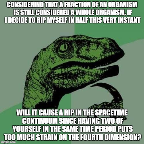 Philosoraptor Meme | CONSIDERING THAT A FRACTION OF AN ORGANISM IS STILL CONSIDERED A WHOLE ORGANISM, IF I DECIDE TO RIP MYSELF IN HALF THIS VERY INSTANT; WILL IT CAUSE A RIP IN THE SPACETIME CONTINUUM SINCE HAVING TWO OF YOURSELF IN THE SAME TIME PERIOD PUTS TOO MUCH STRAIN ON THE FOURTH DIMENSION? | image tagged in memes,philosoraptor | made w/ Imgflip meme maker