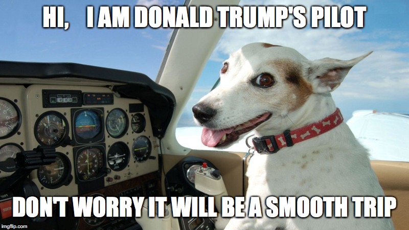 Trump's pilot | HI,    I AM DONALD TRUMP'S PILOT; DON'T WORRY IT WILL BE A SMOOTH TRIP | image tagged in trump,donald trump,republicans | made w/ Imgflip meme maker