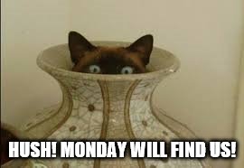 Scaredy cat | HUSH! MONDAY WILL FIND US! | image tagged in monday | made w/ Imgflip meme maker