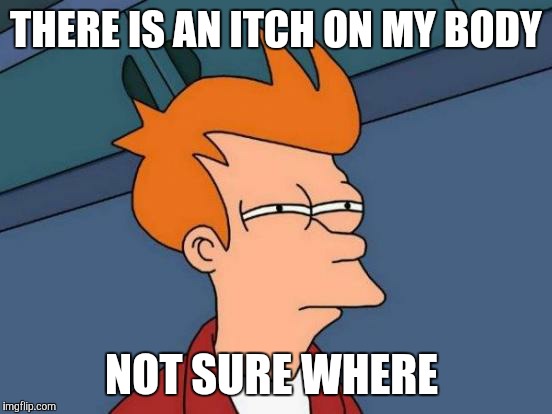 Futurama Fry Meme | THERE IS AN ITCH ON MY BODY; NOT SURE WHERE | image tagged in memes,futurama fry | made w/ Imgflip meme maker