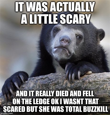 Confession Bear Meme | IT WAS ACTUALLY A LITTLE SCARY AND IT REALLY DIED AND FELL ON THE LEDGE OK I WASNT THAT SCARED BUT SHE WAS TOTAL BUZZKILL | image tagged in memes,confession bear | made w/ Imgflip meme maker