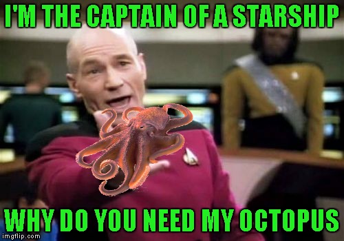 Picard Wtf Meme | I'M THE CAPTAIN OF A STARSHIP WHY DO YOU NEED MY OCTOPUS | image tagged in memes,picard wtf | made w/ Imgflip meme maker