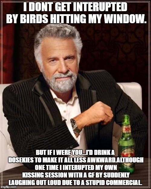 I DONT GET INTERUPTED BY BIRDS HITTING MY WINDOW. BUT IF I WERE YOU...I'D DRINK A DOSEKIES TO MAKE IT ALL LESS AWKWARD.ALTHOUGH ONE TIME I I | image tagged in memes,the most interesting man in the world | made w/ Imgflip meme maker