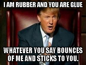 Donald Trump | I AM RUBBER AND YOU ARE GLUE; WHATEVER YOU SAY BOUNCES OF ME AND STICKS TO YOU. | image tagged in donald trump | made w/ Imgflip meme maker