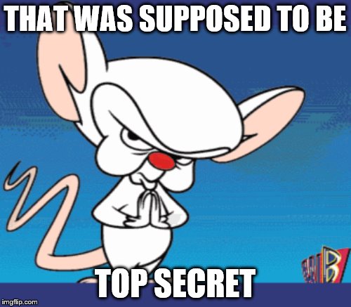 THAT WAS SUPPOSED TO BE TOP SECRET | made w/ Imgflip meme maker