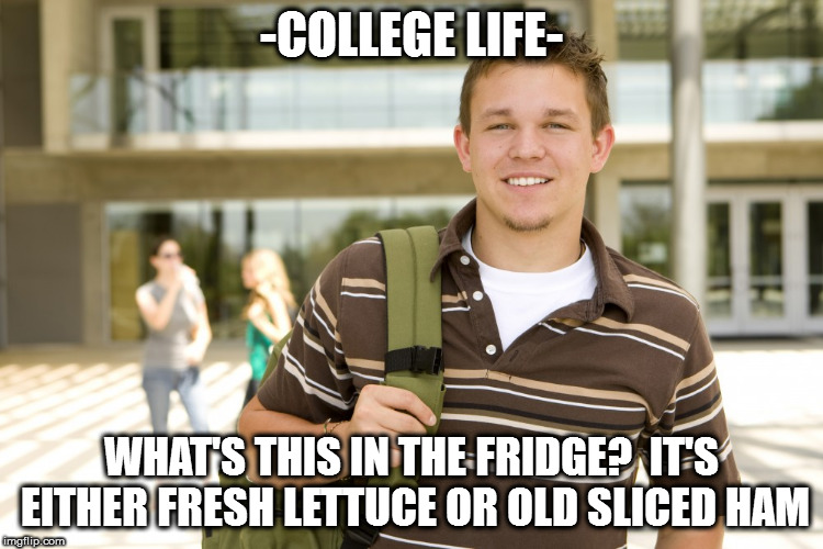 -COLLEGE LIFE-; WHAT'S THIS IN THE FRIDGE?  IT'S EITHER FRESH LETTUCE OR OLD SLICED HAM | image tagged in college kid | made w/ Imgflip meme maker