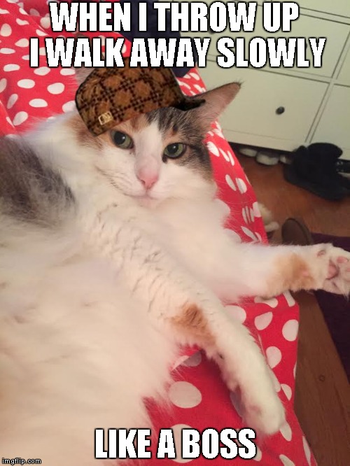 This is one regal cat. | WHEN I THROW UP I WALK AWAY SLOWLY; LIKE A BOSS | image tagged in like a boss | made w/ Imgflip meme maker