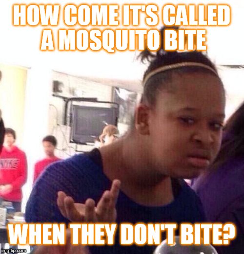 Black Girl Wat Meme | HOW COME IT'S CALLED A MOSQUITO BITE; WHEN THEY DON'T BITE? | image tagged in memes,black girl wat | made w/ Imgflip meme maker