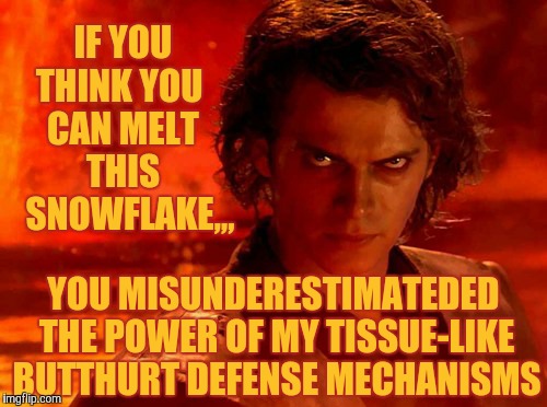 You Underestimate My Power Meme | IF YOU  THINK YOU    CAN MELT      THIS       SNOWFLAKE,,, YOU MISUNDERESTIMATEDED THE POWER OF MY TISSUE-LIKE BUTTHURT DEFENSE MECHANISMS | image tagged in memes,you underestimate my power | made w/ Imgflip meme maker