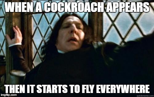 EVEN IN THE BATHROOM | WHEN A COCKROACH APPEARS; THEN IT STARTS TO FLY EVERYWHERE | image tagged in memes,snape | made w/ Imgflip meme maker