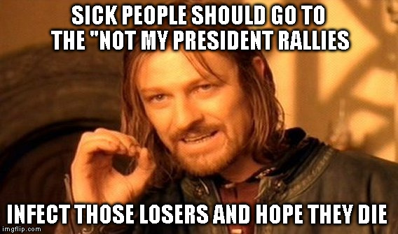 One Does Not Simply | SICK PEOPLE SHOULD GO TO THE "NOT MY PRESIDENT RALLIES; INFECT THOSE LOSERS AND HOPE THEY DIE | image tagged in memes,one does not simply | made w/ Imgflip meme maker