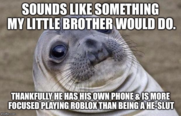 Awkward Moment Sealion Meme | SOUNDS LIKE SOMETHING MY LITTLE BROTHER WOULD DO. THANKFULLY HE HAS HIS OWN PHONE & IS MORE FOCUSED PLAYING ROBLOX THAN BEING A HE-S**T | image tagged in memes,awkward moment sealion | made w/ Imgflip meme maker