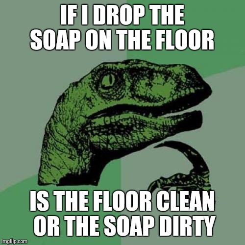 Philosoraptor | IF I DROP THE SOAP ON THE FLOOR; IS THE FLOOR CLEAN OR THE SOAP DIRTY | image tagged in memes,philosoraptor,funny,funny memes | made w/ Imgflip meme maker