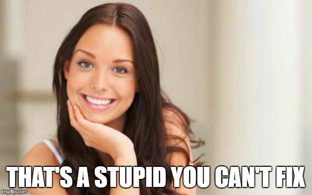 Good Girl Gina | THAT'S A STUPID YOU CAN'T FIX | image tagged in good girl gina | made w/ Imgflip meme maker