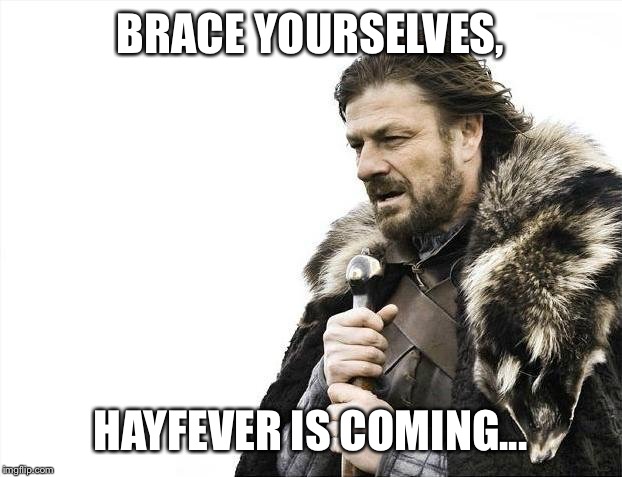 Brace Yourselves X is Coming Meme | BRACE YOURSELVES, HAYFEVER IS COMING... | image tagged in memes,brace yourselves x is coming | made w/ Imgflip meme maker