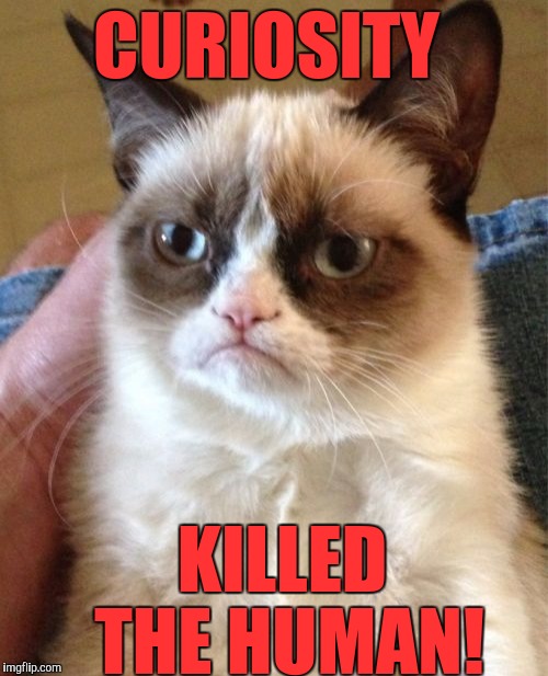 Grumpy Cat Meme | CURIOSITY; KILLED THE HUMAN! | image tagged in memes,grumpy cat | made w/ Imgflip meme maker