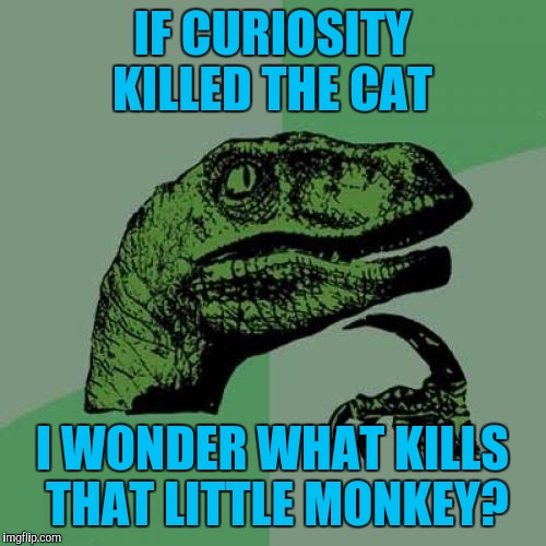 Philosoraptor Meme | IF CURIOSITY KILLED THE CAT; I WONDER WHAT KILLS THAT LITTLE MONKEY? | image tagged in memes,philosoraptor | made w/ Imgflip meme maker
