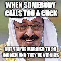 WHEN SOMEBODY CALLS YOU A CUCK; BUT YOU'RE MARRIED TO 30 WOMEN AND THEY'RE VIRGINS | image tagged in smiling king | made w/ Imgflip meme maker