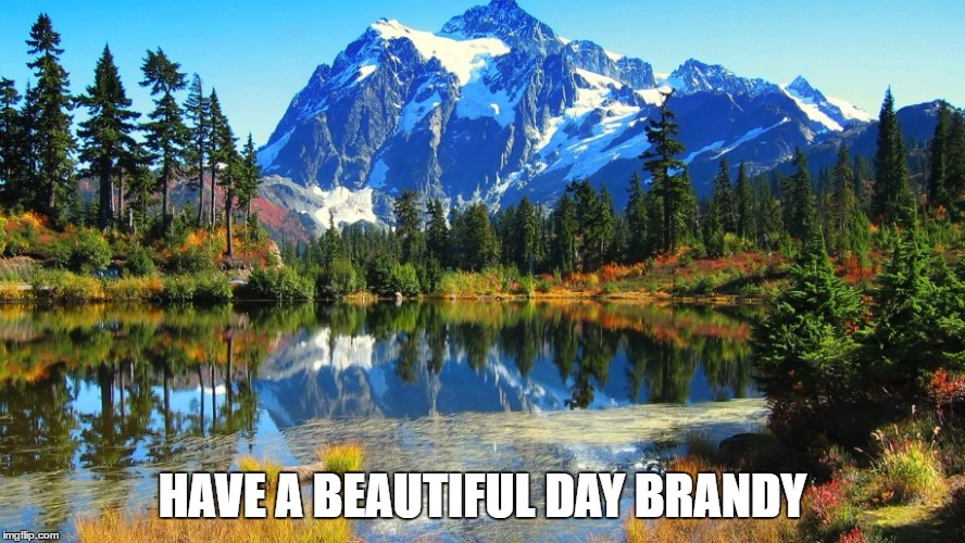 HAVE A BEAUTIFUL DAY BRANDY | made w/ Imgflip meme maker