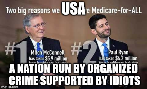 The USA Problem | USA; A NATION RUN BY ORGANIZED CRIME SUPPORTED BY IDIOTS | image tagged in gop,mitch mcconnell,paul ryan,koch brothers | made w/ Imgflip meme maker