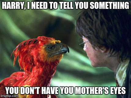 Phoenix Harry potter | HARRY, I NEED TO TELL YOU SOMETHING; YOU DON'T HAVE YOU MOTHER'S EYES | image tagged in phoenix harry potter | made w/ Imgflip meme maker