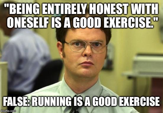 Dwight Schrute Meme | "BEING ENTIRELY HONEST WITH ONESELF IS A GOOD EXERCISE."; FALSE: RUNNING IS A GOOD EXERCISE | image tagged in memes,dwight schrute | made w/ Imgflip meme maker
