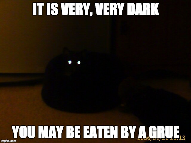 It is very, very dark | IT IS VERY, VERY DARK; YOU MAY BE EATEN BY A GRUE | image tagged in grue,dark | made w/ Imgflip meme maker