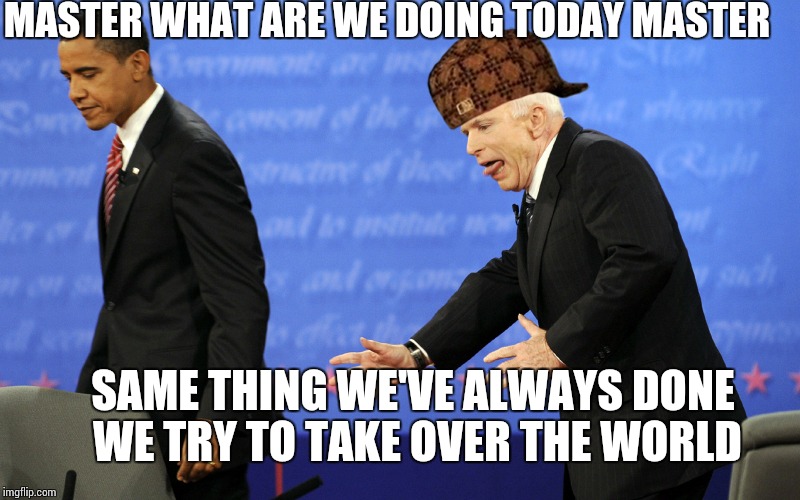 John McCain | MASTER WHAT ARE WE DOING TODAY MASTER; SAME THING WE'VE ALWAYS DONE WE TRY TO TAKE OVER THE WORLD | image tagged in john mccain,scumbag | made w/ Imgflip meme maker