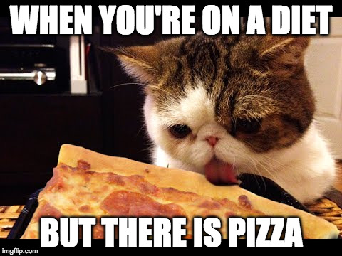The struggle is real... | WHEN YOU'RE ON A DIET; BUT THERE IS PIZZA | image tagged in cat pizza,pizza,the struggle is real,bacon | made w/ Imgflip meme maker