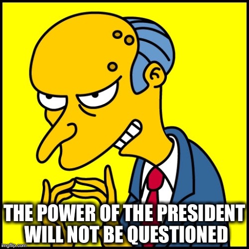 THE POWER OF THE PRESIDENT WILL NOT BE QUESTIONED | image tagged in donald trump | made w/ Imgflip meme maker