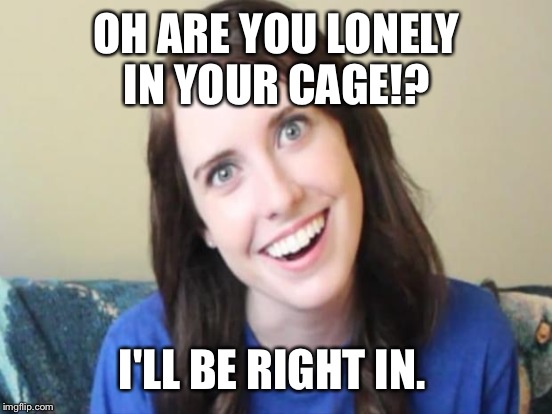 OH ARE YOU LONELY IN YOUR CAGE!? I'LL BE RIGHT IN. | made w/ Imgflip meme maker