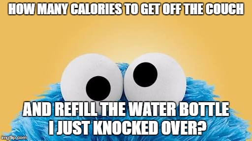 Cookie Monster  | HOW MANY CALORIES TO GET OFF THE COUCH; AND REFILL THE WATER BOTTLE I JUST KNOCKED OVER? | image tagged in cookie monster | made w/ Imgflip meme maker