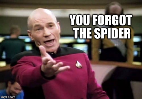 Picard Wtf Meme | YOU FORGOT THE SPIDER | image tagged in memes,picard wtf | made w/ Imgflip meme maker