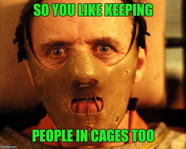 SO YOU LIKE KEEPING PEOPLE IN CAGES TOO | made w/ Imgflip meme maker