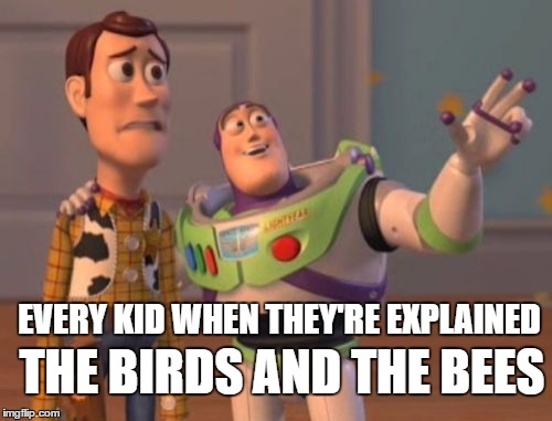 X, X Everywhere | THE BIRDS AND THE BEES; EVERY KID WHEN THEY'RE EXPLAINED | image tagged in memes,x x everywhere | made w/ Imgflip meme maker