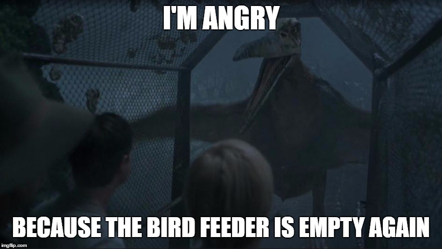 Angry pterosaur | I'M ANGRY; BECAUSE THE BIRD FEEDER IS EMPTY AGAIN | image tagged in memes,funny,jurassic park,jurassic park 3,pteranodon | made w/ Imgflip meme maker