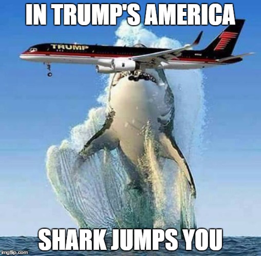 Sharking The Trump | IN TRUMP'S AMERICA; SHARK JUMPS YOU | image tagged in jump the shark,shark,trump,america,memes,funny | made w/ Imgflip meme maker
