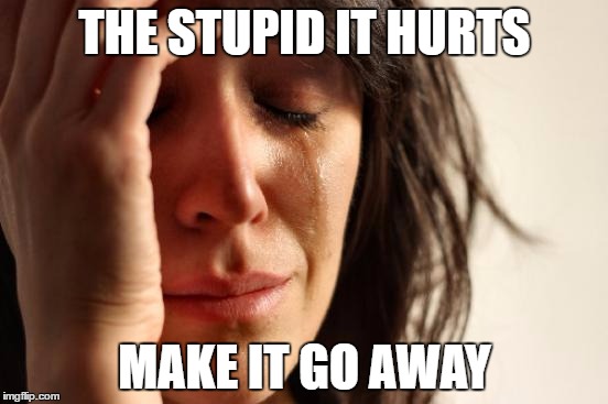 First World Problems Meme | THE STUPID IT HURTS; MAKE IT GO AWAY | image tagged in memes,first world problems | made w/ Imgflip meme maker