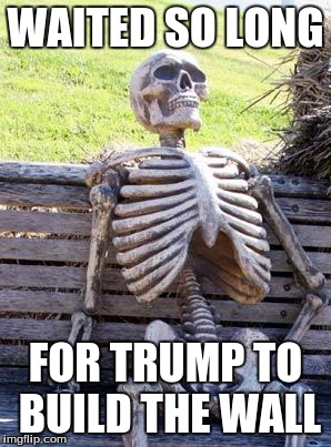 Waiting Skeleton | WAITED SO LONG; FOR TRUMP TO BUILD THE WALL | image tagged in memes,waiting skeleton | made w/ Imgflip meme maker