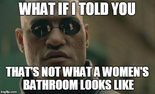 Matrix Morpheus Meme | WHAT IF I TOLD YOU THAT'S NOT WHAT A WOMEN'S BATHROOM LOOKS LIKE | image tagged in memes,matrix morpheus | made w/ Imgflip meme maker