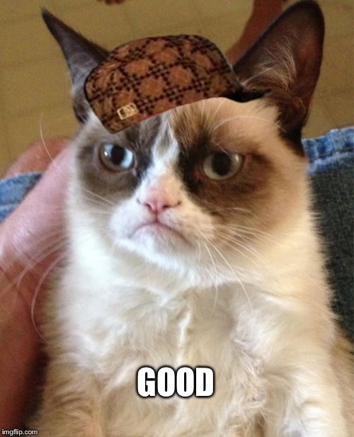 Grumpy Cat Meme | GOOD | image tagged in memes,grumpy cat,scumbag | made w/ Imgflip meme maker