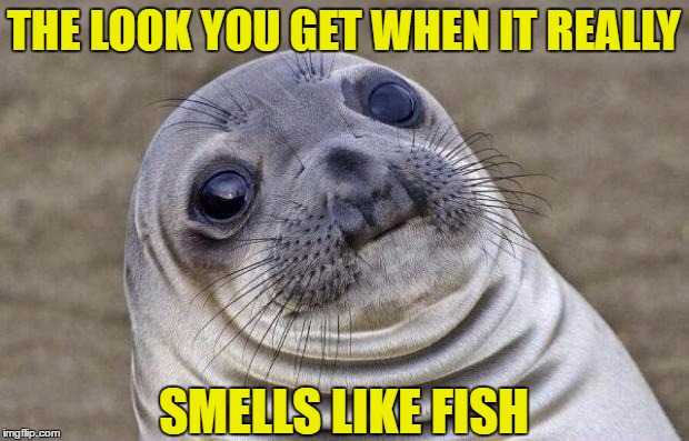 Awkward Moment Sealion | THE LOOK YOU GET WHEN IT REALLY; SMELLS LIKE FISH | image tagged in memes,awkward moment sealion | made w/ Imgflip meme maker