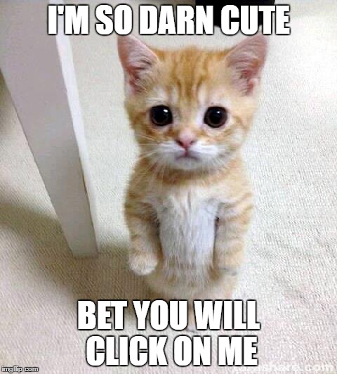 Cute Cat Meme | I'M SO DARN CUTE; BET YOU WILL CLICK ON ME | image tagged in memes,cute cat | made w/ Imgflip meme maker