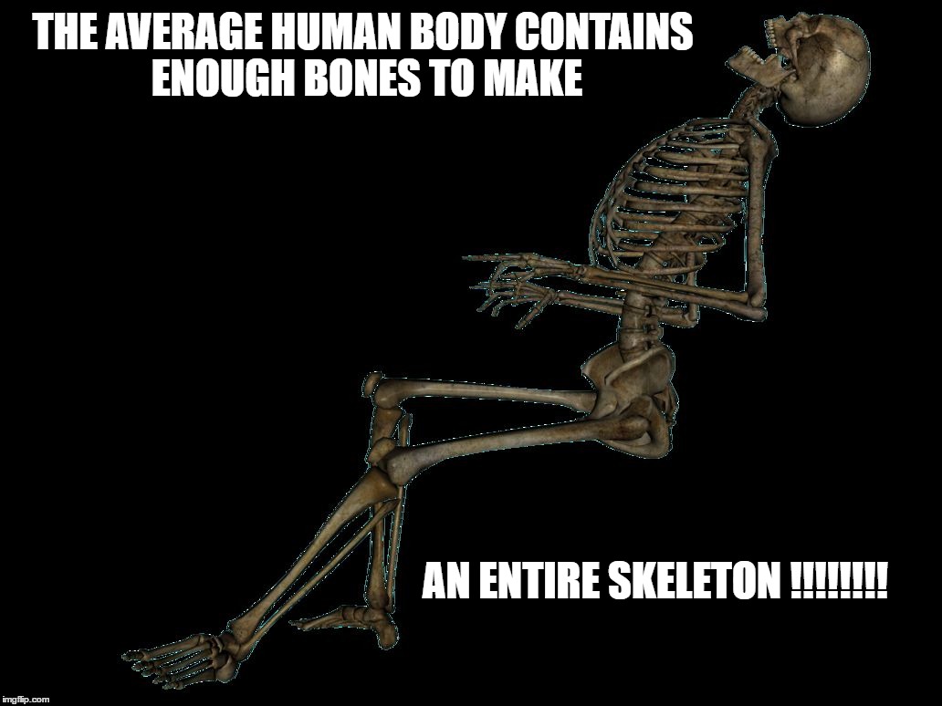 skeleton meme generator