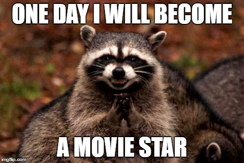 Evil Plotting Raccoon Meme | ONE DAY I WILL BECOME; A MOVIE STAR | image tagged in memes,evil plotting raccoon | made w/ Imgflip meme maker